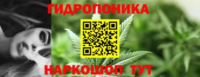 дмт Бузулук