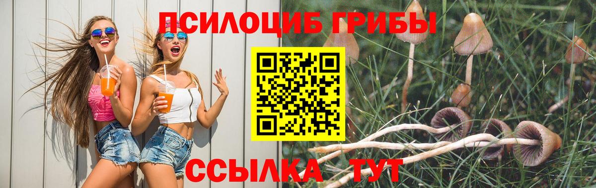Магадан  Галлюциногенные грибы мицелий  Вход с VPN 